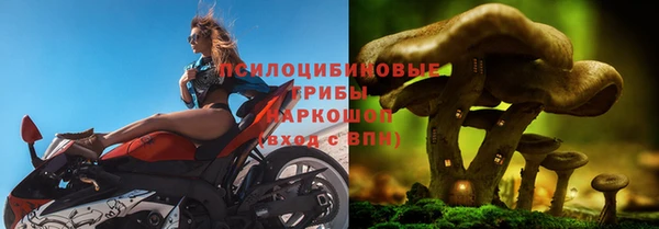 трава Новодвинск