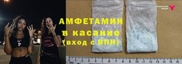 трава Няндома