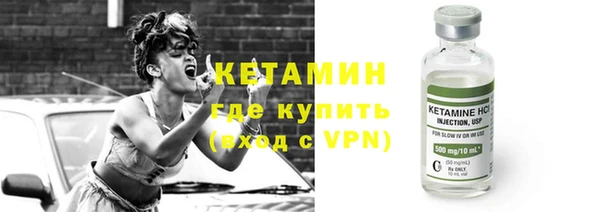 трава Няндома