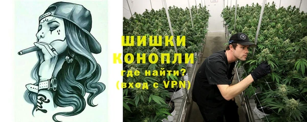 трава Няндома