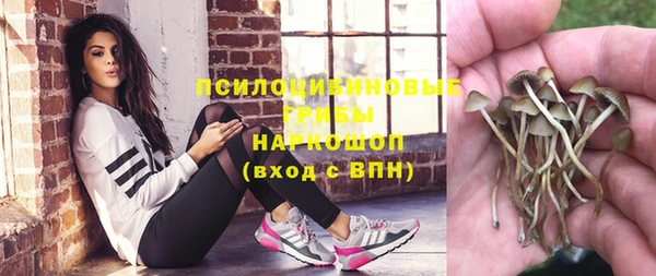трава Новодвинск