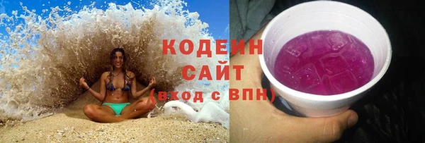 трава Няндома