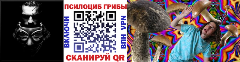 Псилоцибиновые грибы мицелий Отрадное