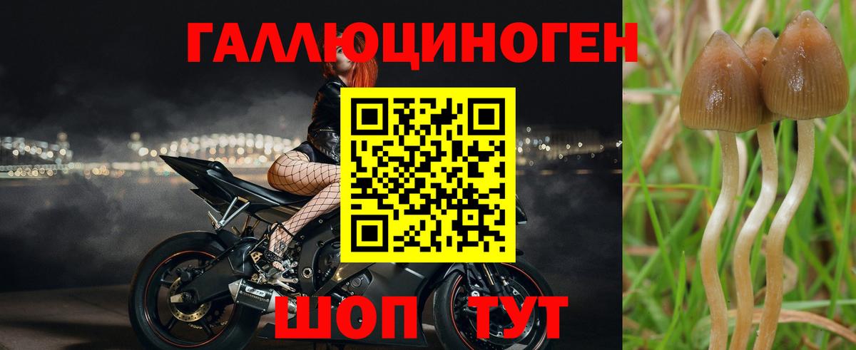 Галлюциногенные грибы Magic Shrooms  Вход с VPN  Отрадное 