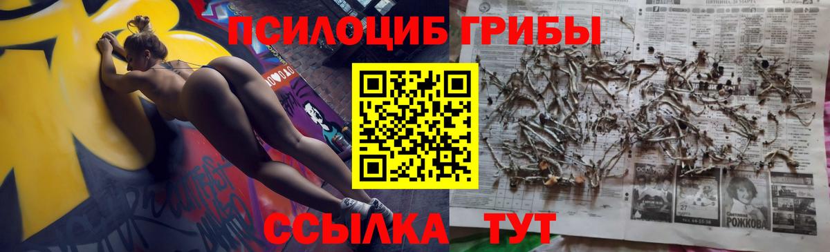 Псилоцибиновые грибы прущие грибы Отрадное